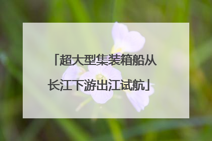 超大型集装箱船从长江下游出江试航