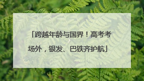 跨越年龄与国界！高考考场外，银发、巴铁齐护航
