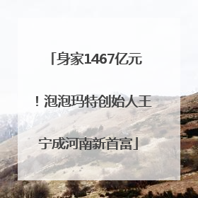 身家1467亿元！泡泡玛特创始人王宁成河南新首富