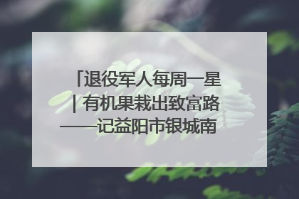 退役军人每周一星｜有机果栽出致富路——记益阳市银城南湖蔬果农民专业合作社总经理晏桂明