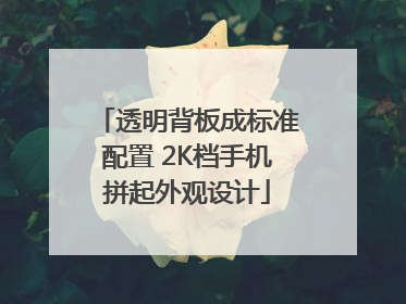 透明背板成标准配置 2K档手机拼起外观设计