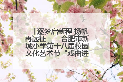 逐梦启新程 扬帆再远征——合肥市新城小学第十八届校园文化艺术节“戏曲进校园专场演出”