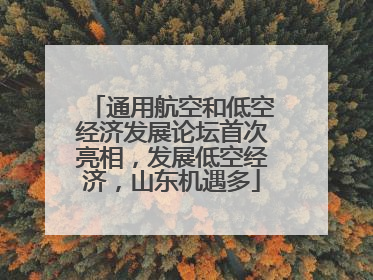 通用航空和低空经济发展论坛首次亮相，发展低空经济，山东机遇多