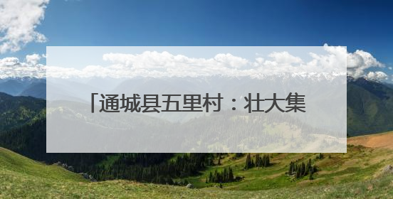 通城县五里村：壮大集体经济 赋能乡村振兴