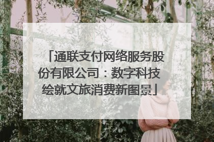 通联支付网络服务股份有限公司：数字科技绘就文旅消费新图景