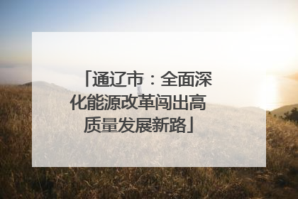 通辽市：全面深化能源改革闯出高质量发展新路