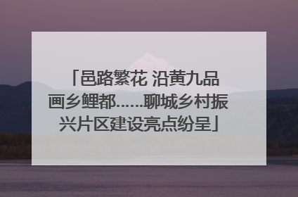 邑路繁花 沿黄九品 画乡鲤都……聊城乡村振兴片区建设亮点纷呈
