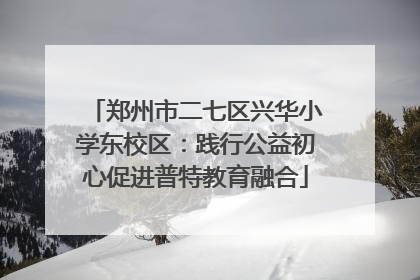 郑州市二七区兴华小学东校区：践行公益初心促进普特教育融合