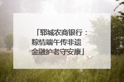 郓城农商银行：粽情端午传非遗 金融护老守安康