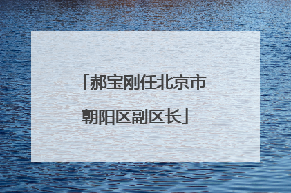 郝宝刚任北京市朝阳区副区长