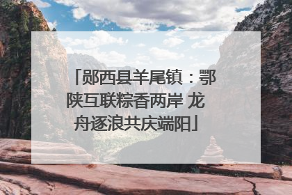 郧西县羊尾镇：鄂陕互联粽香两岸 龙舟逐浪共庆端阳
