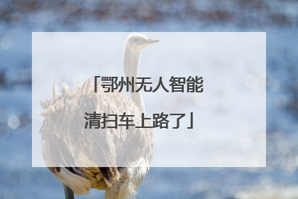 鄂州无人智能清扫车上路了