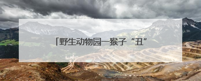 野生动物园一猴子“丑”出圈，当地保育员回应