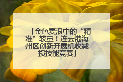 金色麦浪中的“精准”较量！连云港海州区创新开展机收减损技能竞赛