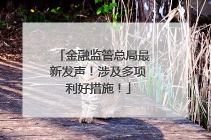 金融监管总局最新发声！涉及多项利好措施！