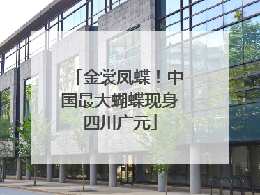 金裳凤蝶！中国最大蝴蝶现身四川广元