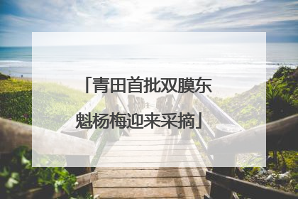 青田首批双膜东魁杨梅迎来采摘