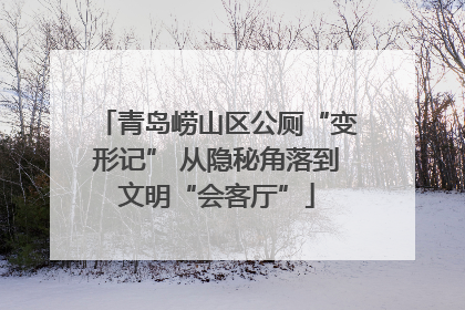 青岛崂山区公厕“变形记” 从隐秘角落到文明“会客厅”