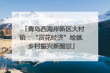 青岛西海岸新区大村镇：“赏花经济”绘就乡村振兴新图景