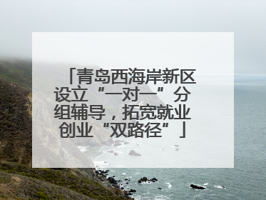 青岛西海岸新区设立“一对一”分组辅导，拓宽就业创业“双路径”