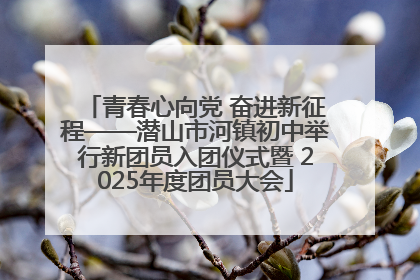 青春心向党 奋进新征程——潜山市河镇初中举行新团员入团仪式暨 2025年度团员大会