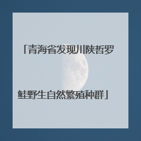 青海省发现川陕哲罗鲑野生自然繁殖种群