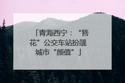 青海西宁：“簪花”公交车站扮靓城市“颜值”
