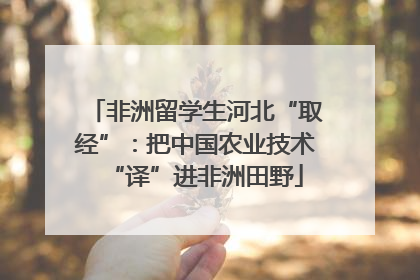 非洲留学生河北“取经”：把中国农业技术“译”进非洲田野