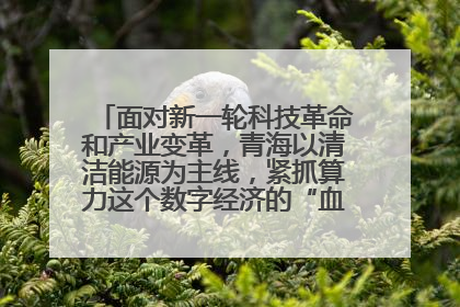 面对新一轮科技革命和产业变革，青海以清洁能源为主线，紧抓算力这个数字经济的“血液”、科技主权的“筹码”、产业升级的“杠杆”、绿色转型的“支点”，勇于撬动国家“双碳”战略、“东数西算”工程重大发展新机遇