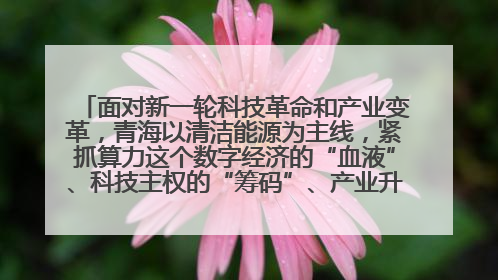 面对新一轮科技革命和产业变革,青海以清洁能源为主线,紧抓算力这个数字经济的“血液”、科技主权的“筹码”、产业升级的“杠杆”、绿色转型的“支点”,勇于撬动国家“双碳”战略、“东数西算”工程重大发展新机遇,点亮绿色算电协同新赛道,蹚出一条符合本地实际的高质量发展之路——青海:“绿色算力” 锚定“东数西算”国家战略布局