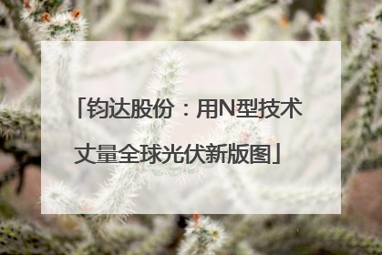 钧达股份：用N型技术丈量全球光伏新版图