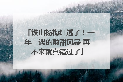 铁山杨梅红透了！一年一遇的酸甜风暴 再不来就真错过了