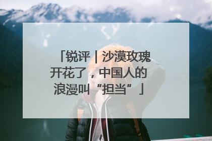 锐评｜沙漠玫瑰开花了，中国人的浪漫叫“担当”