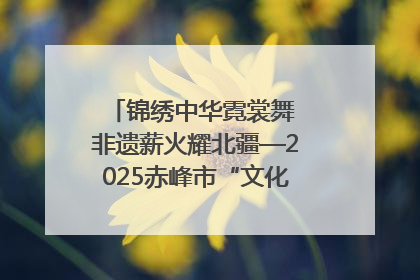 锦绣中华霓裳舞 非遗薪火耀北疆—2025赤峰市“文化和自然遗产日”非遗宣传展示活动纪实