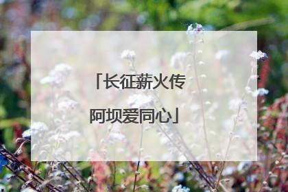 长征薪火传 阿坝爱同心