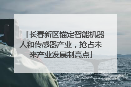 长春新区锚定智能机器人和传感器产业，抢占未来产业发展制高点
