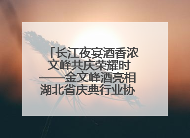 长江夜宴酒香浓 文峰共庆荣耀时——金文峰酒亮相湖北省庆典行业协会十周年盛典