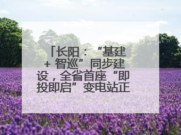 长阳：“基建 + 智巡”同步建设，全省首座“即投即启”变电站正式投运