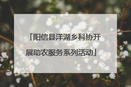 阳信县洋湖乡科协开展助农服务系列活动