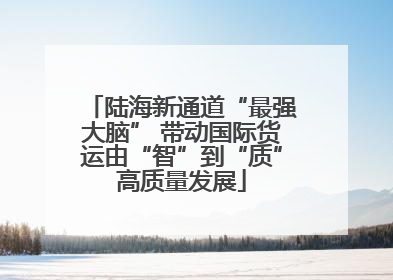 陆海新通道“最强大脑” 带动国际货运由“智”到“质”高质量发展