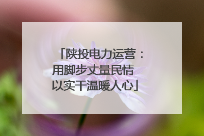 陕投电力运营：用脚步丈量民情 以实干温暖人心