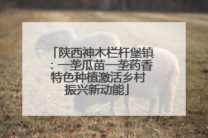 陕西神木栏杆堡镇：一垄瓜苗一垄药香 特色种植激活乡村振兴新动能