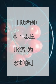 陕西神木：志愿服务 为梦护航