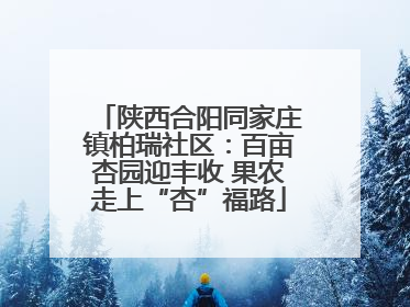 陕西合阳同家庄镇柏瑞社区：百亩杏园迎丰收 果农走上“杏”福路