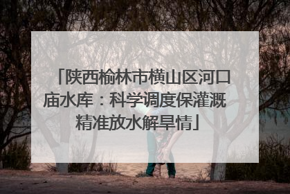 陕西榆林市横山区河口庙水库：科学调度保灌溉 精准放水解旱情