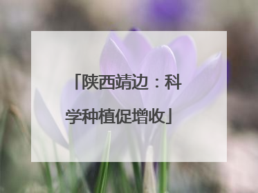 陕西靖边：科学种植促增收