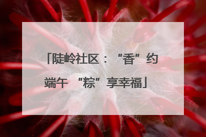 陡岭社区：“香”约端午 “粽”享幸福