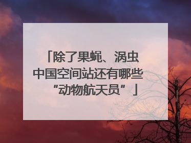 除了果蝇、涡虫 中国空间站还有哪些“动物航天员”