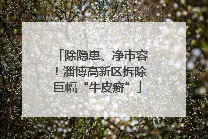 除隐患、净市容！淄博高新区拆除巨幅“牛皮癣”