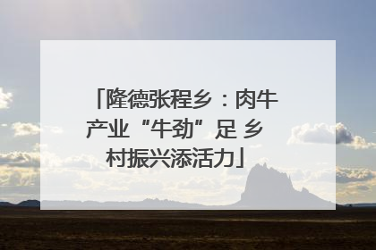 隆德张程乡：肉牛产业“牛劲”足 乡村振兴添活力